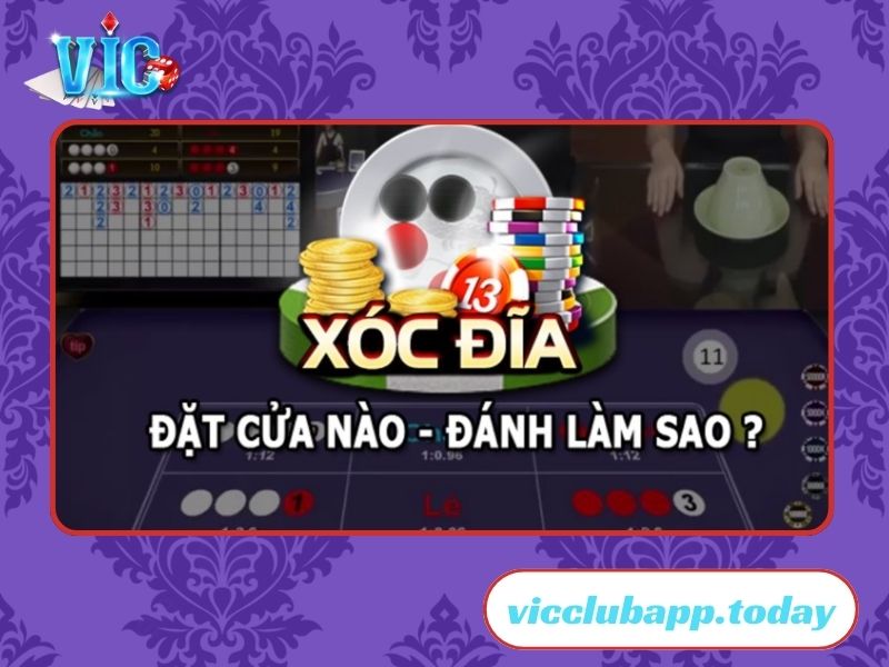 Áp dụng kỹ thuật nghe vị xóc đĩa