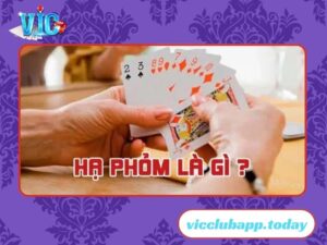 Tìm hiểu về môn hạ phỏm cực hot